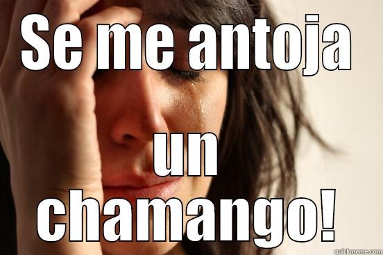 SE ME ANTOJA UN CHAMANGO! First World Problems