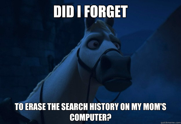 DID I FORGET To erase the search history on my mom's computer? - DID I FORGET To erase the search history on my mom's computer?  Incredibly Concerned Horse