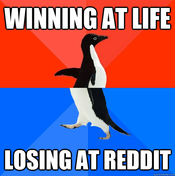 Winning at life Losing at reddit - Winning at life Losing at reddit  Socially Awesome Awkward Penguin