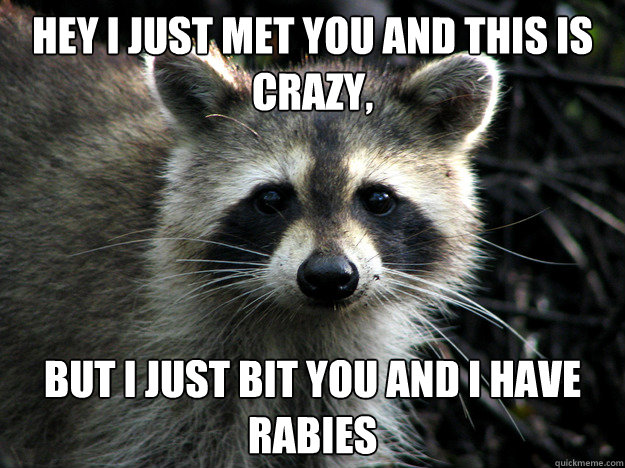 Hey I just met you and this is crazy, but i just bit you and i have rabies  