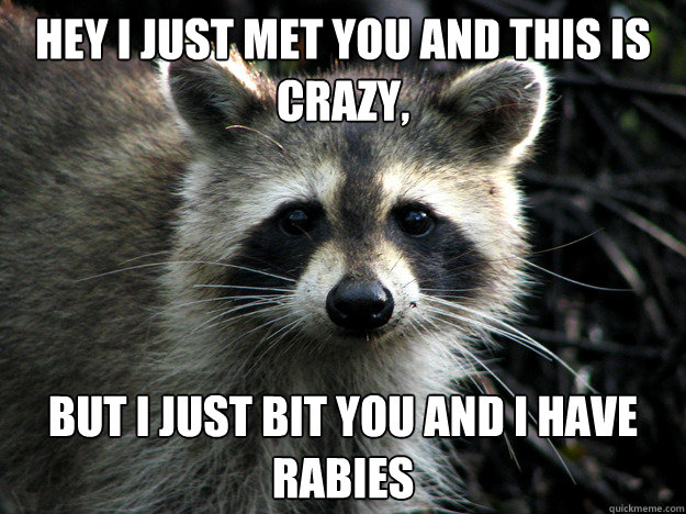 Hey I just met you and this is crazy, but i just bit you and i have rabies  call me maybe raccoon