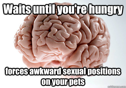 Waits until you're hungry forces awkward sexual positions on your pets  Scumbag Brain