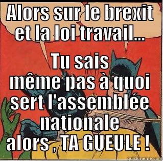 ALORS SUR LE BREXIT ET LA LOI TRAVAIL... TU SAIS MÊME PAS À QUOI SERT L'ASSEMBLÉE NATIONALE ALORS , TA GUEULE !  Slappin Batman