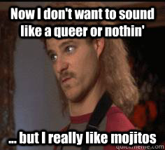 Now I don't want to sound like a queer or nothin' ... but I really like mojitos - Now I don't want to sound like a queer or nothin' ... but I really like mojitos  Not Queer Dave