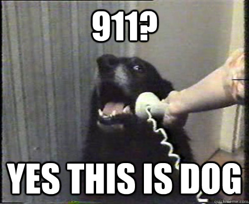 911? Yes this is dog - 911? Yes this is dog  Misc