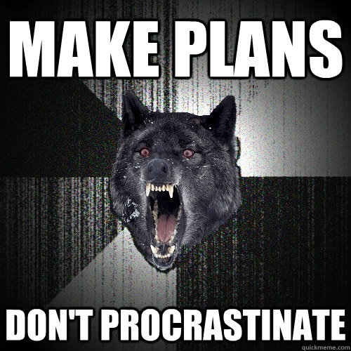 make plans don't procrastinate  Insanity Wolf