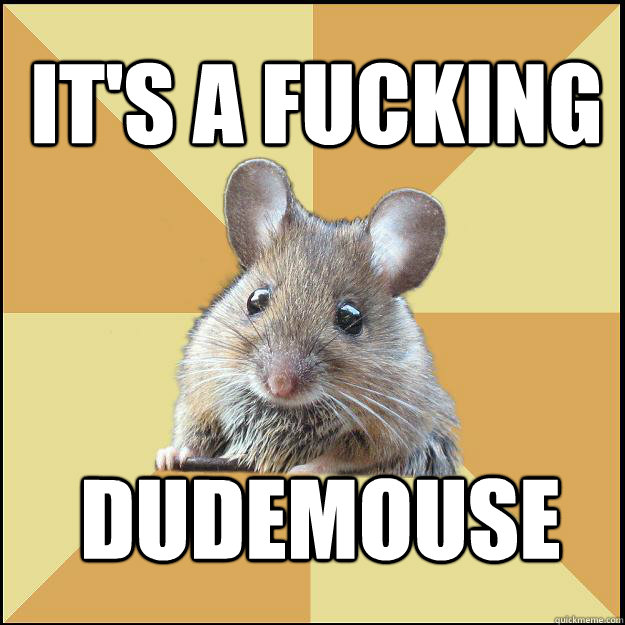 It's a fucking dudemouse  