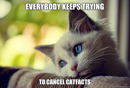 Everybody keeps trying To cancel Catfacts  First World Problems Cat