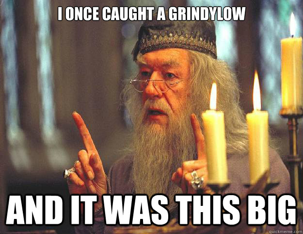 I once caught a grindylow and it was this big  Dumbledore