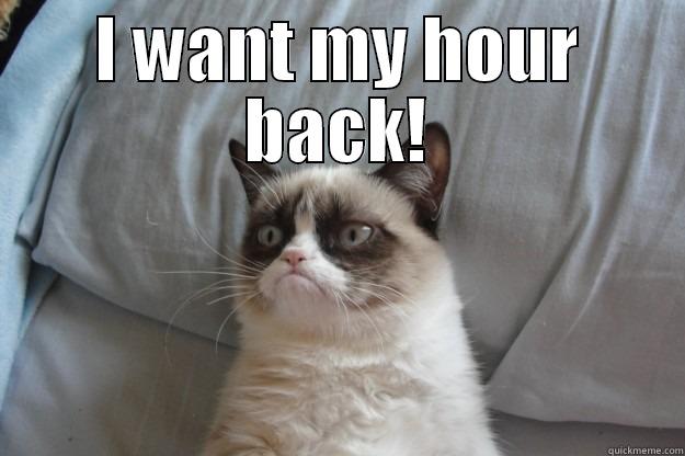 I WANT MY HOUR BACK!  Grumpy Cat