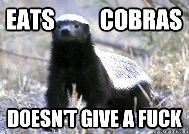 Eats          Cobras Doesn't Give A Fuck - Eats          Cobras Doesn't Give A Fuck  Honey Badger