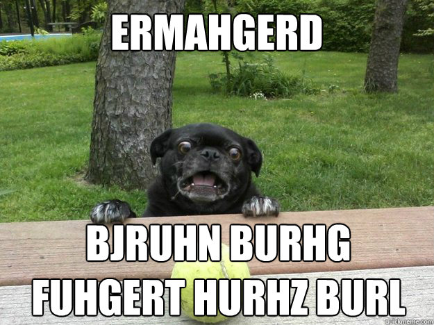 Ermahgerd BJRUHN BURHG 
FUHGERT HURHZ BURL  Berks Dog