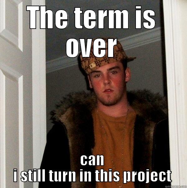 THE TERM IS OVER CAN I STILL TURN IN THIS PROJECT Scumbag Steve