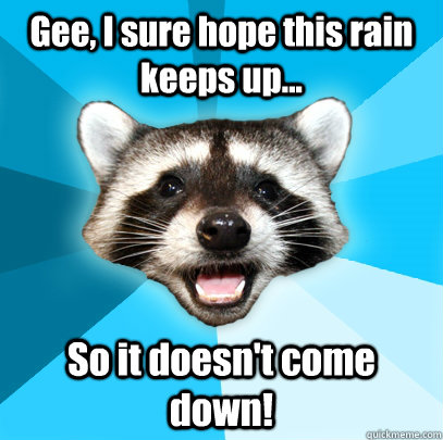 Gee, I sure hope this rain keeps up... So it doesn't come down!   Lame Pun Coon