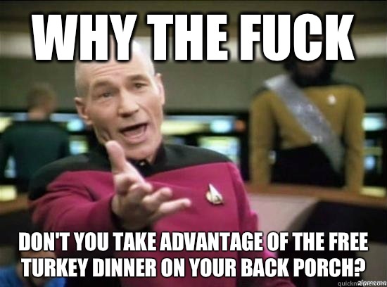 Why the fuck Don't you take advantage of the free turkey dinner on your back porch? - Why the fuck Don't you take advantage of the free turkey dinner on your back porch?  Annoyed Picard HD