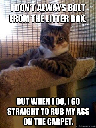 i don't always bolt from the litter box. but when i do, i go straight to rub my ass on the carpet.  The Most Interesting Cat in the World