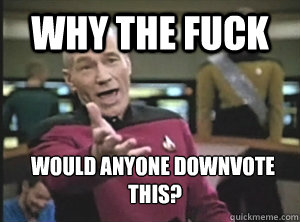Why the fuck Would anyone downvote
 this? - Why the fuck Would anyone downvote
 this?  Annoyed Picard