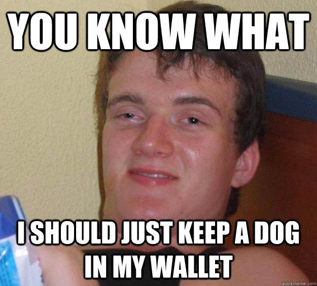 you know what i should just keep a dog in my wallet  10 Guy