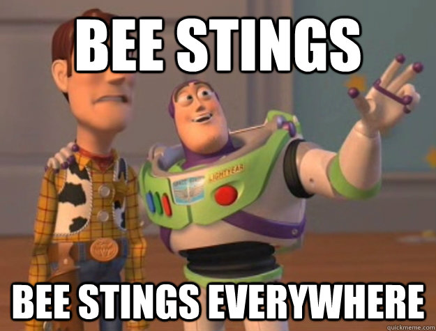 Bee stings bee stings everywhere - Bee stings bee stings everywhere  Buzz Lightyear