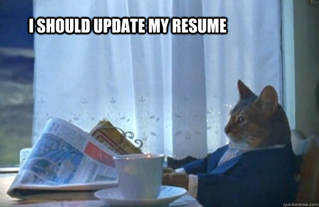 I should update my resume - I should update my resume  Sophisticated Cat