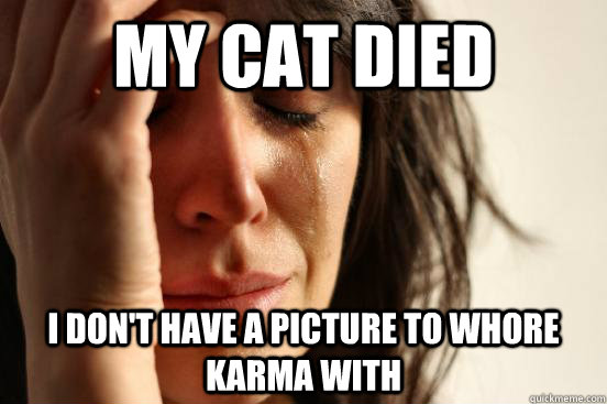 my cat died I don't have a picture to whore karma with  First World Problems