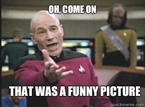 Oh, come on That was a funny picture  Annoyed Picard