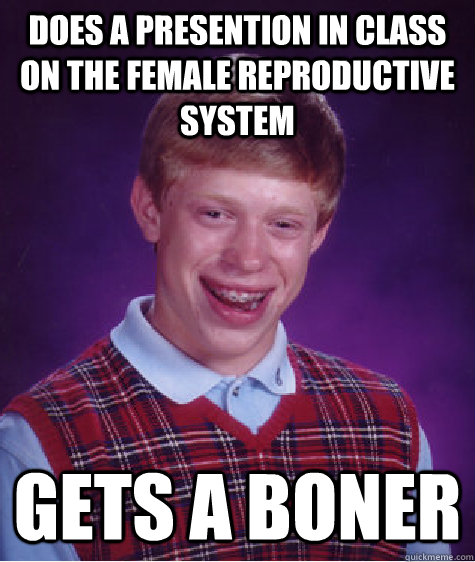 Does a presention in class on the female reproductive system gets a boner  Bad Luck Brian