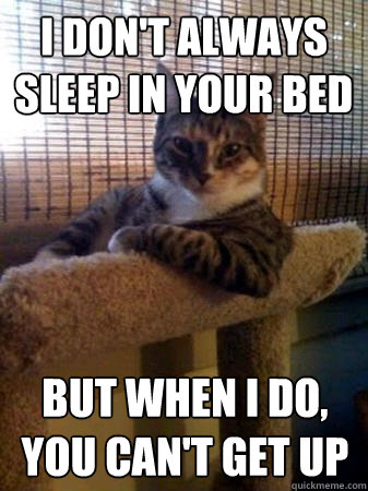 I don't always sleep in your bed but when I do, you can't get up  The Most Interesting Cat in the World