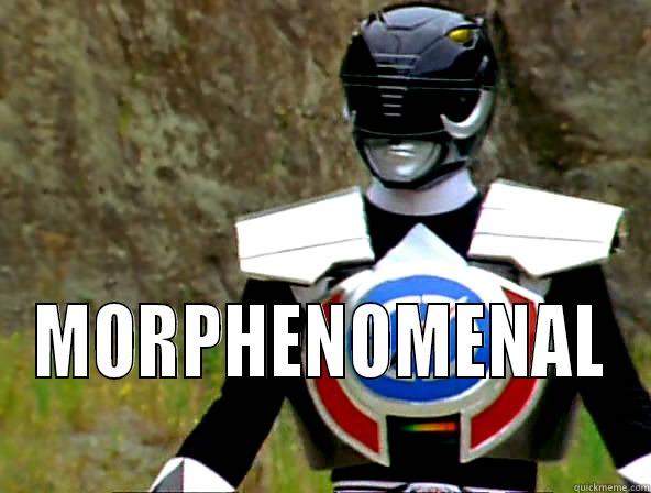  MORPHENOMENAL Misc