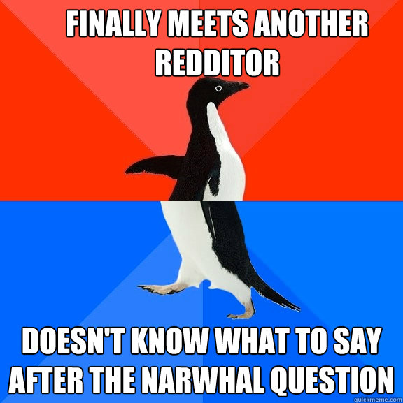 Finally meets another redditor  Doesn't know what to say after the narwhal question  socially awkward penguin socially awesome penguin