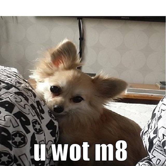  U WOT M8 Misc