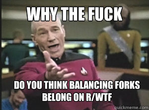 why the fuck do you think balancing forks belong on r/wtf - why the fuck do you think balancing forks belong on r/wtf  Annoyed Picard