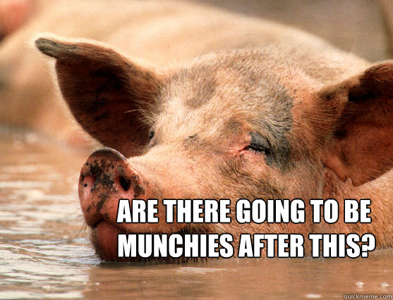   Are there going to be munchies after this?  Stoner Pig