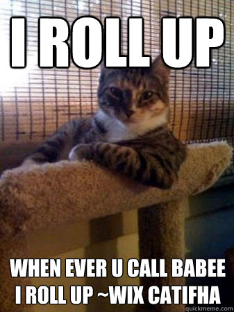 i roll up when ever u call babee i roll up ~wix catifha  The Most Interesting Cat in the World