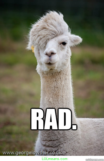 rad. - rad.  apathetic llama