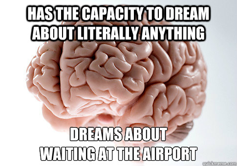 Has the capacity to dream about literally anything Dreams about 
waiting at the airport  Scumbag Brain