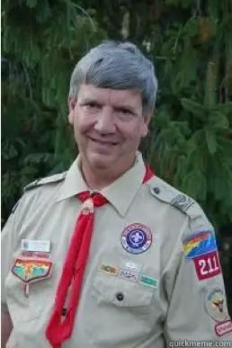 IT HURTS ! BEE STINGS HURT Harmless Scout Leader