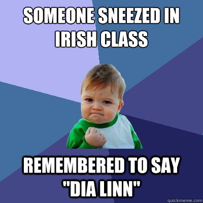 Someone sneezed in Irish class Remembered to say 