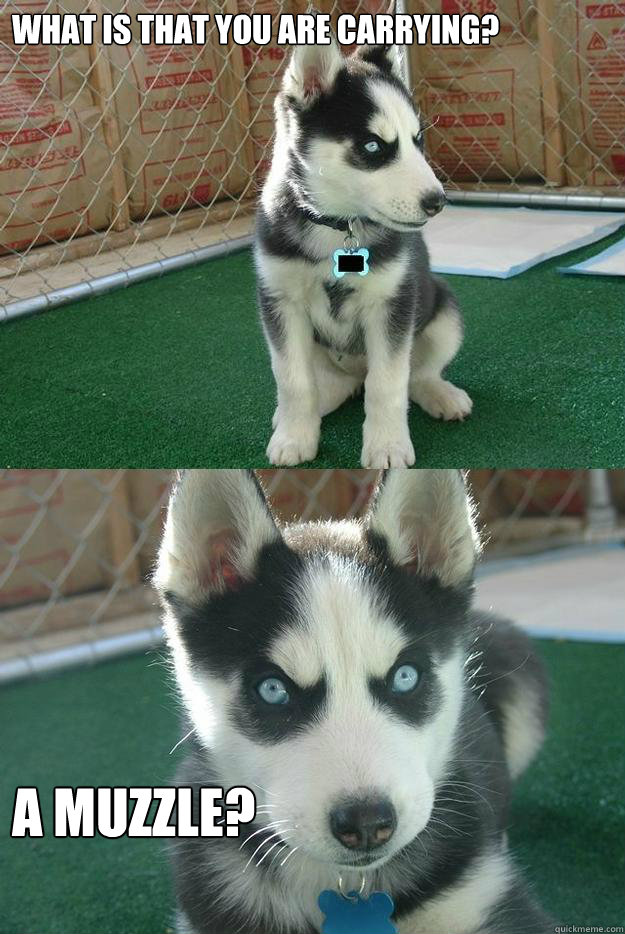 What is that you are carrying? A muzzle?  Insanity puppy
