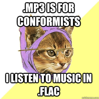 .MP3 is for conformists i listen to music in .flac  Hipster Kitty