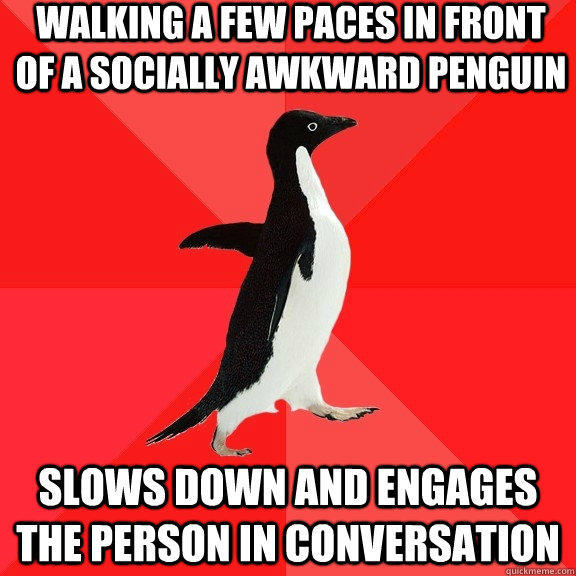 walking a few paces in front of a socially awkward penguin slows down and engages the person in conversation  