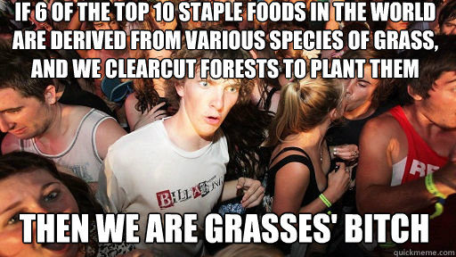 If 6 of the top 10 staple foods in the world are derived from various species of grass, 
and we clearcut forests to plant them
 Then we are grasses' bitch  Sudden Clarity Clarence