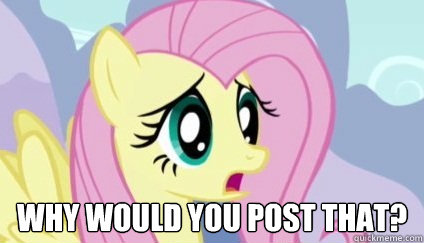  WHY WOULD YOU POST THAT? -  WHY WOULD YOU POST THAT?  Fluttershy Why