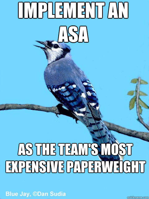 implement an ASA as the team's most expensive paperweight  Blue Team Bird