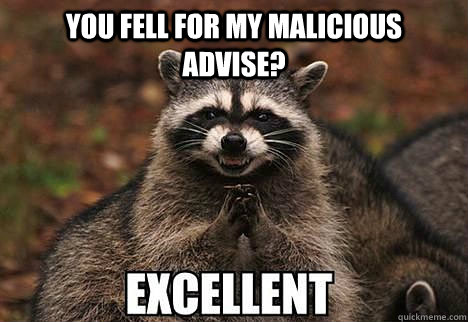 You fell for my malicious advise?   evil racoon
