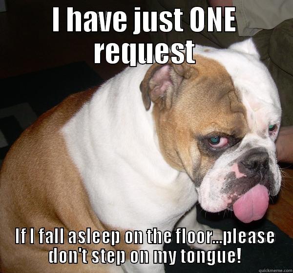 I HAVE JUST ONE REQUEST IF I FALL ASLEEP ON THE FLOOR...PLEASE DON'T STEP ON MY TONGUE! Misc