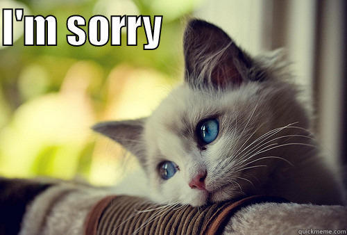I'M SORRY                          First World Problems Cat