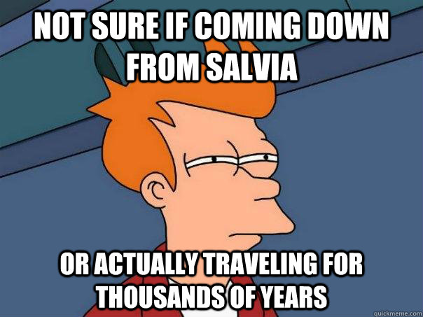 Not sure if coming down from salvia or actually traveling for thousands of years  Futurama Fry