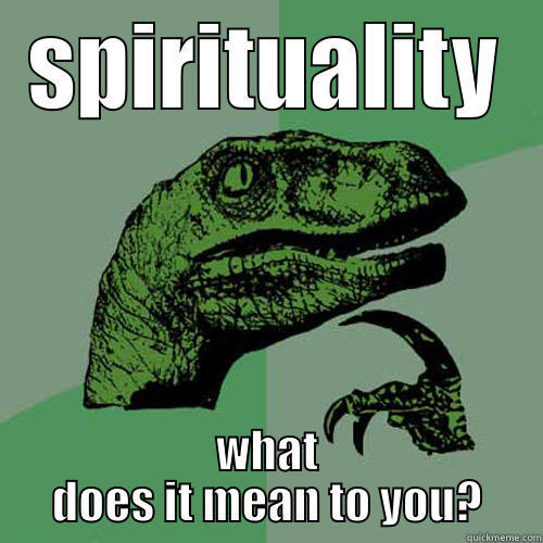 SPIRITUALITY WHAT DOES IT MEAN TO YOU? Philosoraptor