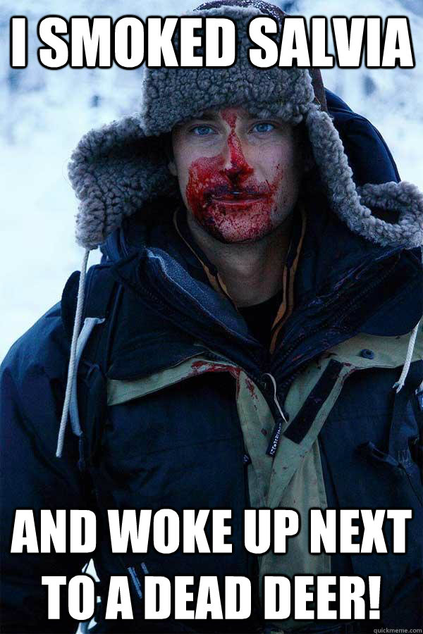 i smoked salvia and woke up next to a dead deer! - i smoked salvia and woke up next to a dead deer!  Bear Grylls